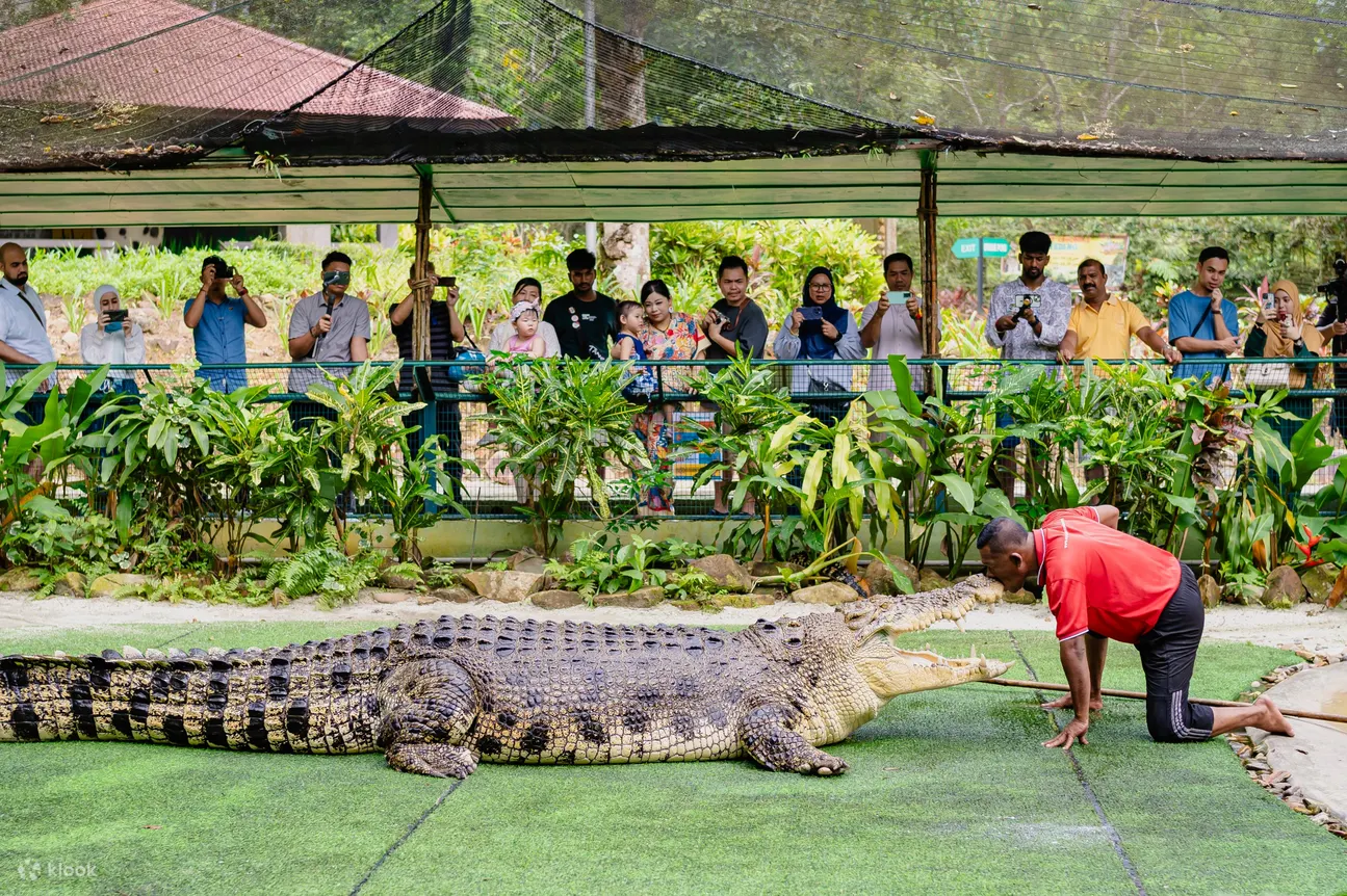 crocodile adventureland ticket 