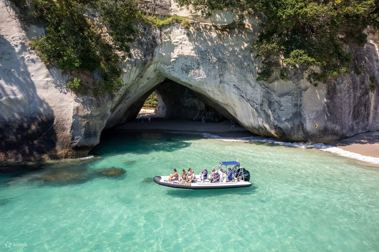 cathedral cove tours from whitianga