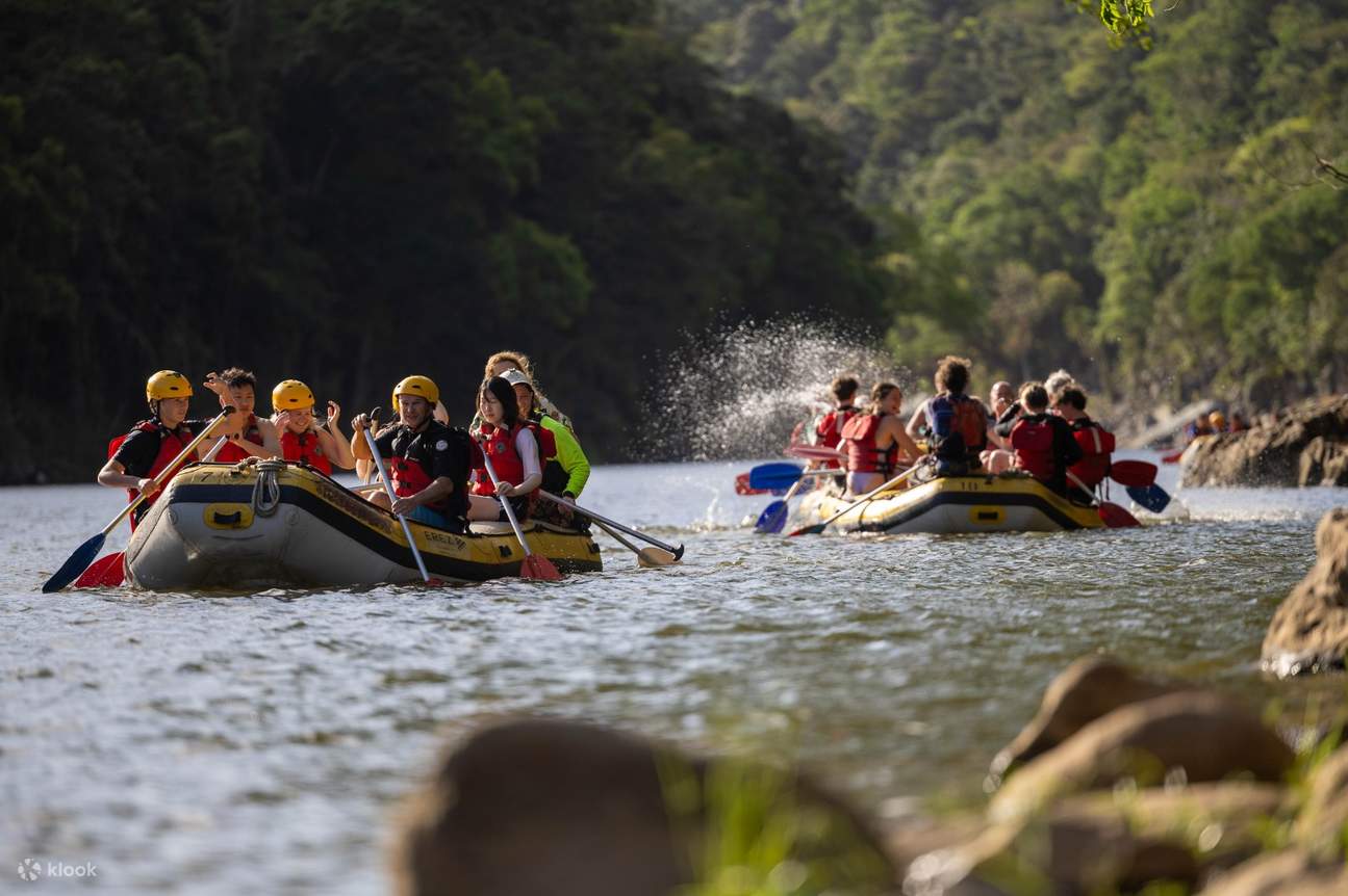 Esperienza di rafting di mezza giornata sul fiume Barron con partenza da Cairns o Port Douglas