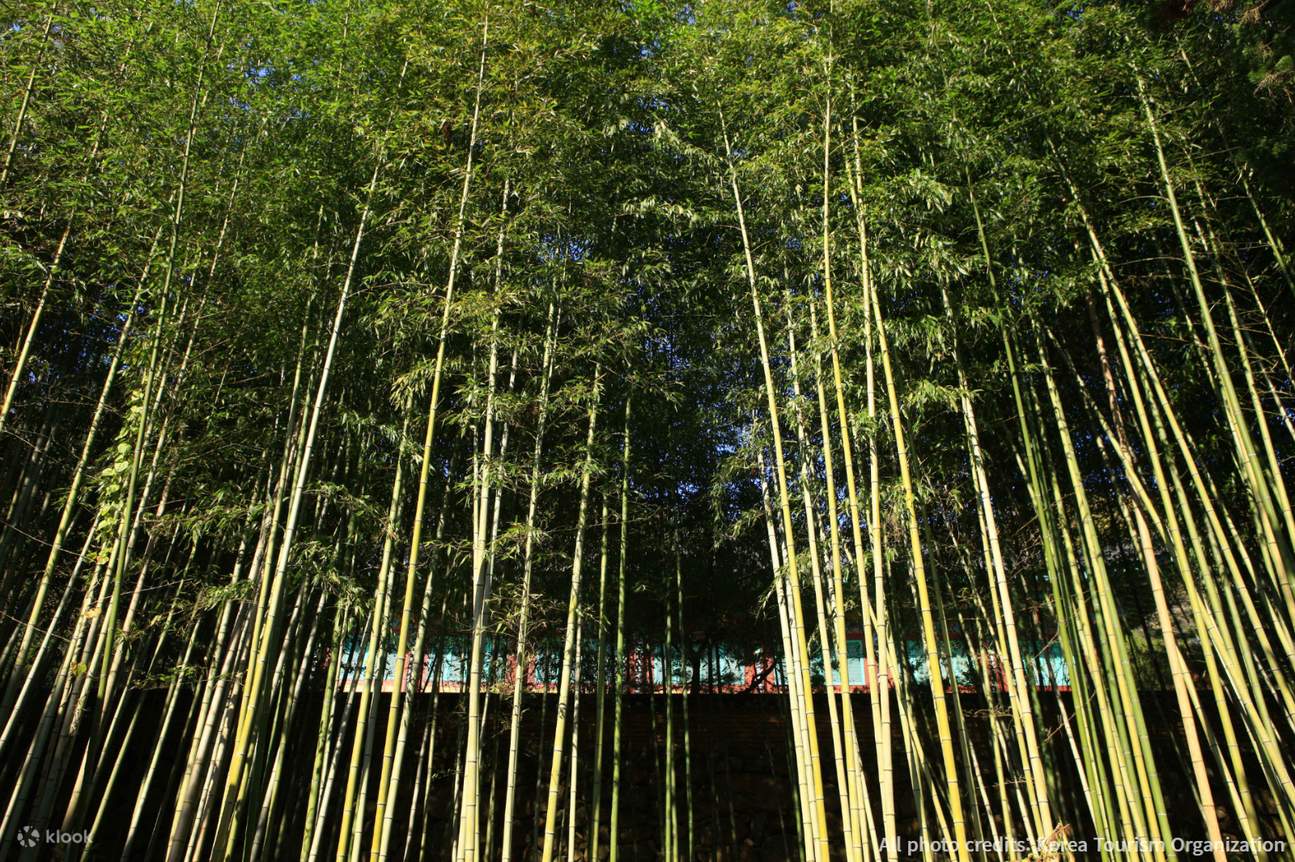 Chùa Ssanggyesa, Hadong