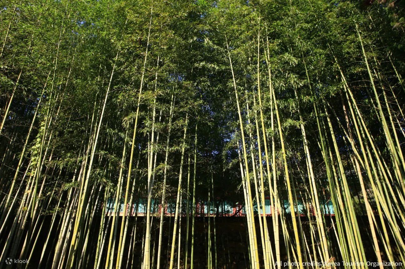 河东双溪寺