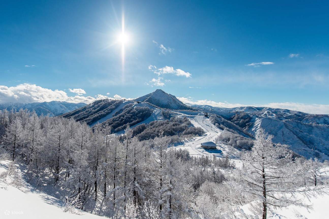 Bus Keberangkatan Pagi dari Shinjuku | Tur Ski Sehari ke Maiko Snow ...