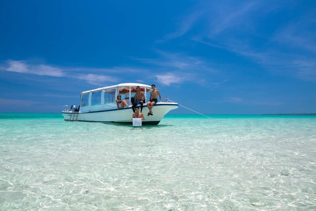 [이시가키섬/당일] 환상의 섬 & 푸른 동굴 스노클링★퍼펙트 스노클링 팩