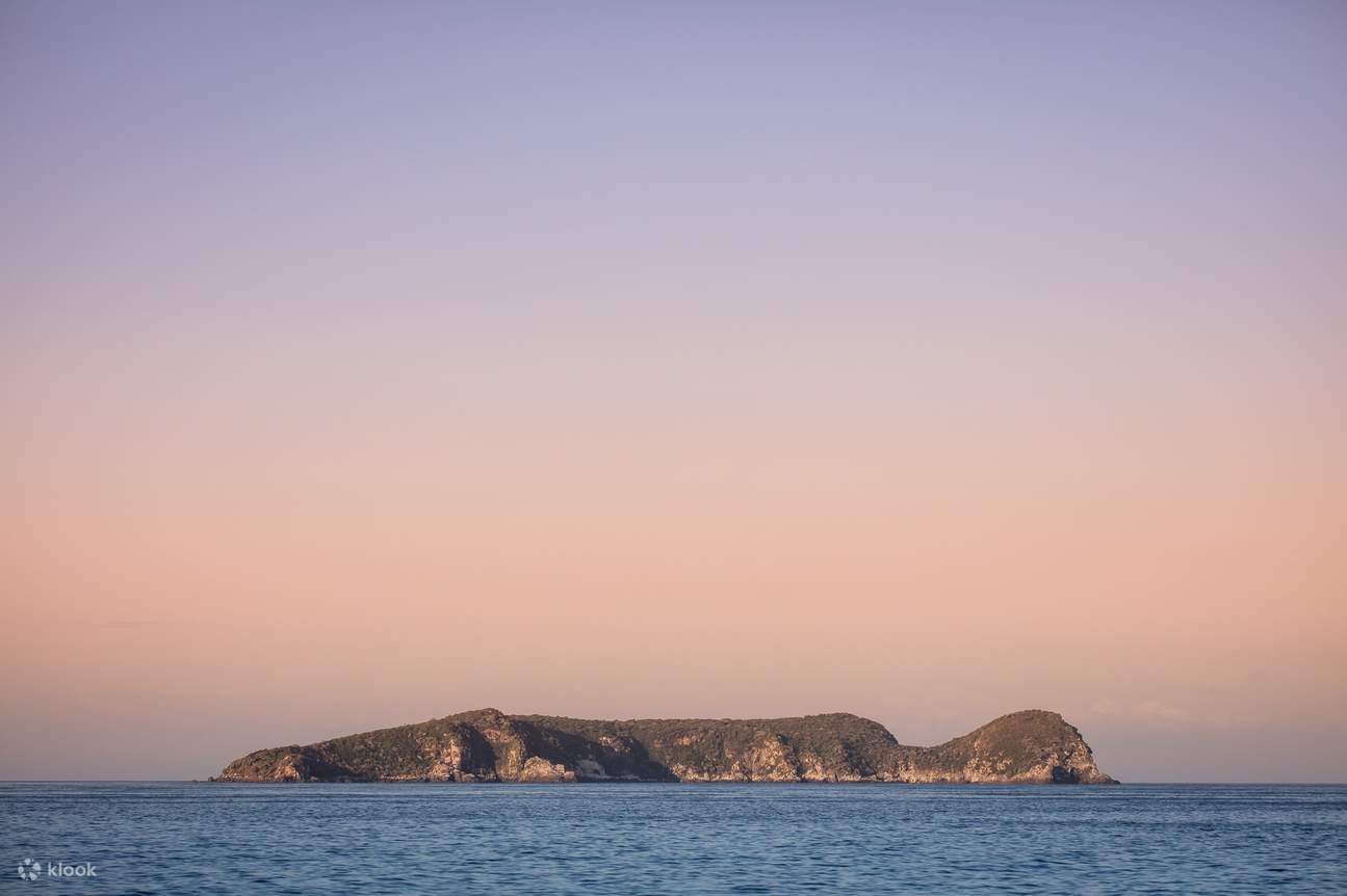 stewart island experiences kiwi encounter