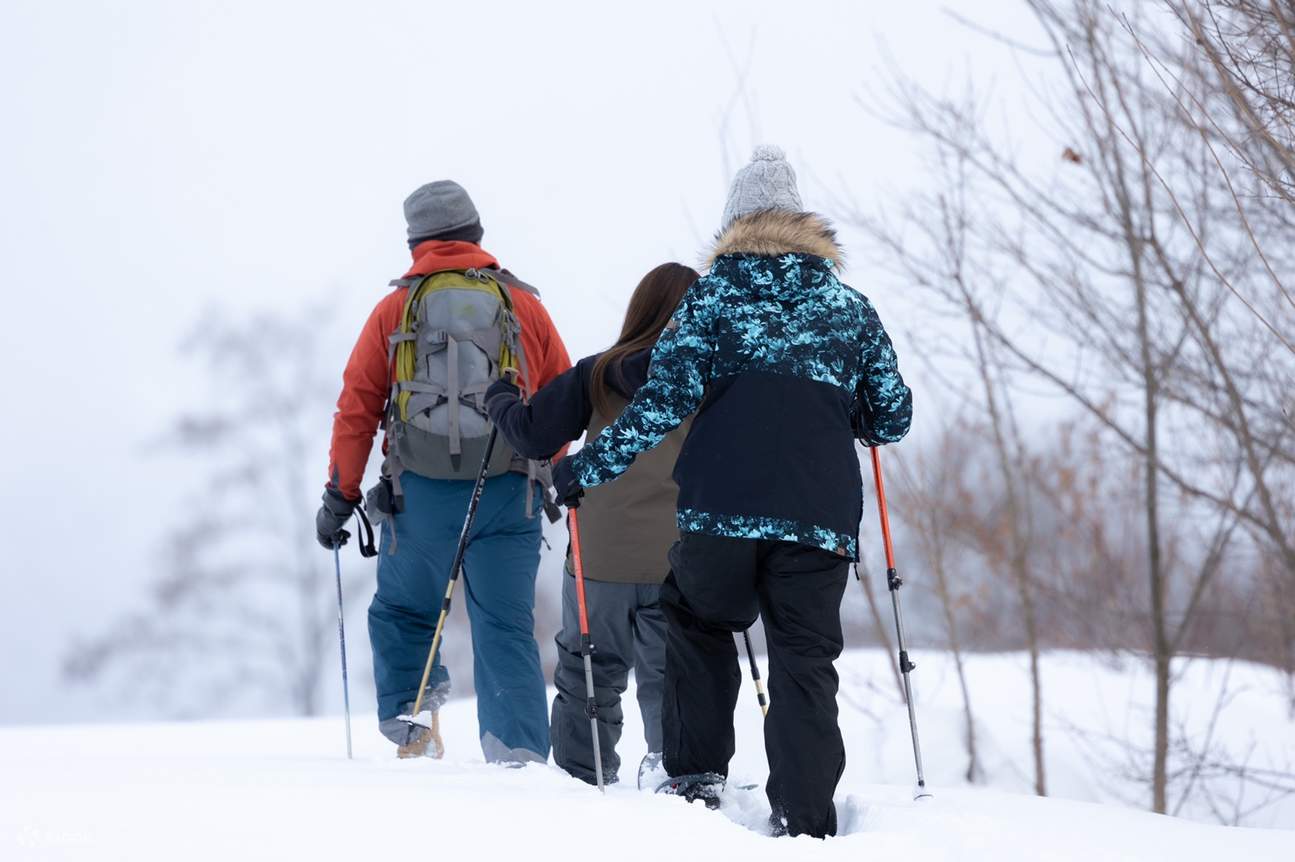 Snowshoe Trekking