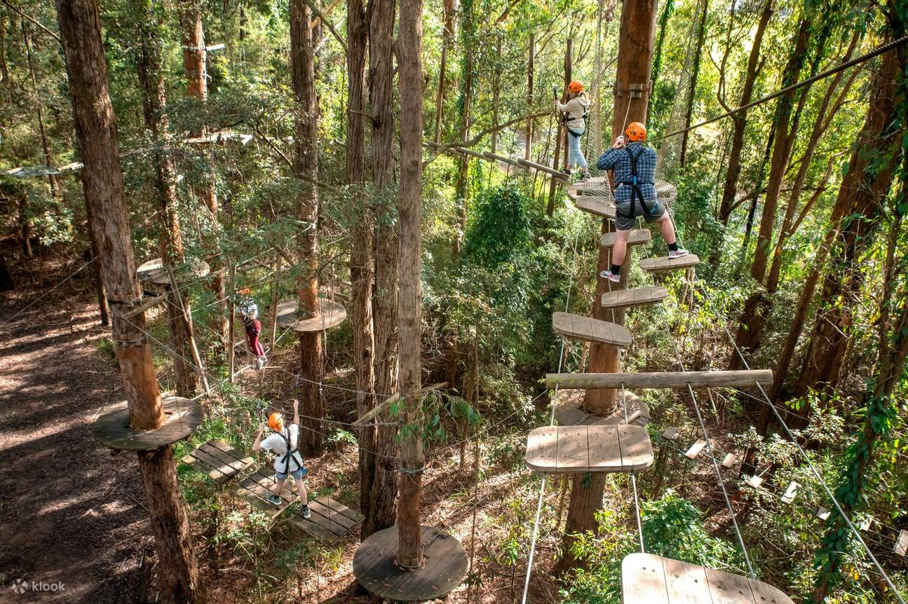 Geronimo Tree Rope Course Curso de Tree Ropes y experiencia Net World en la Costa Central - Klook ...