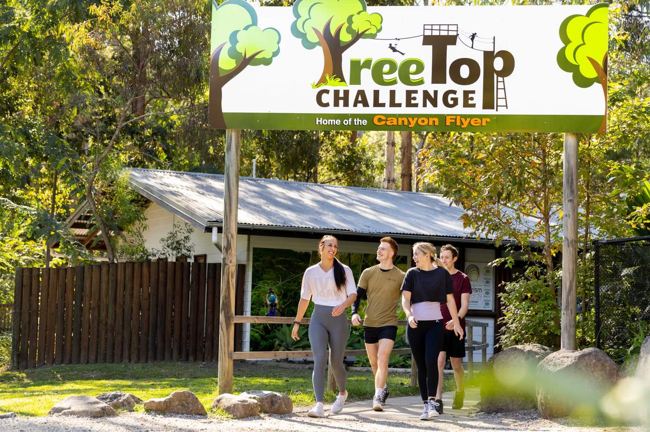 TreeTop Challenge at Tamborine Mountain from Gold Coast Klook Australia