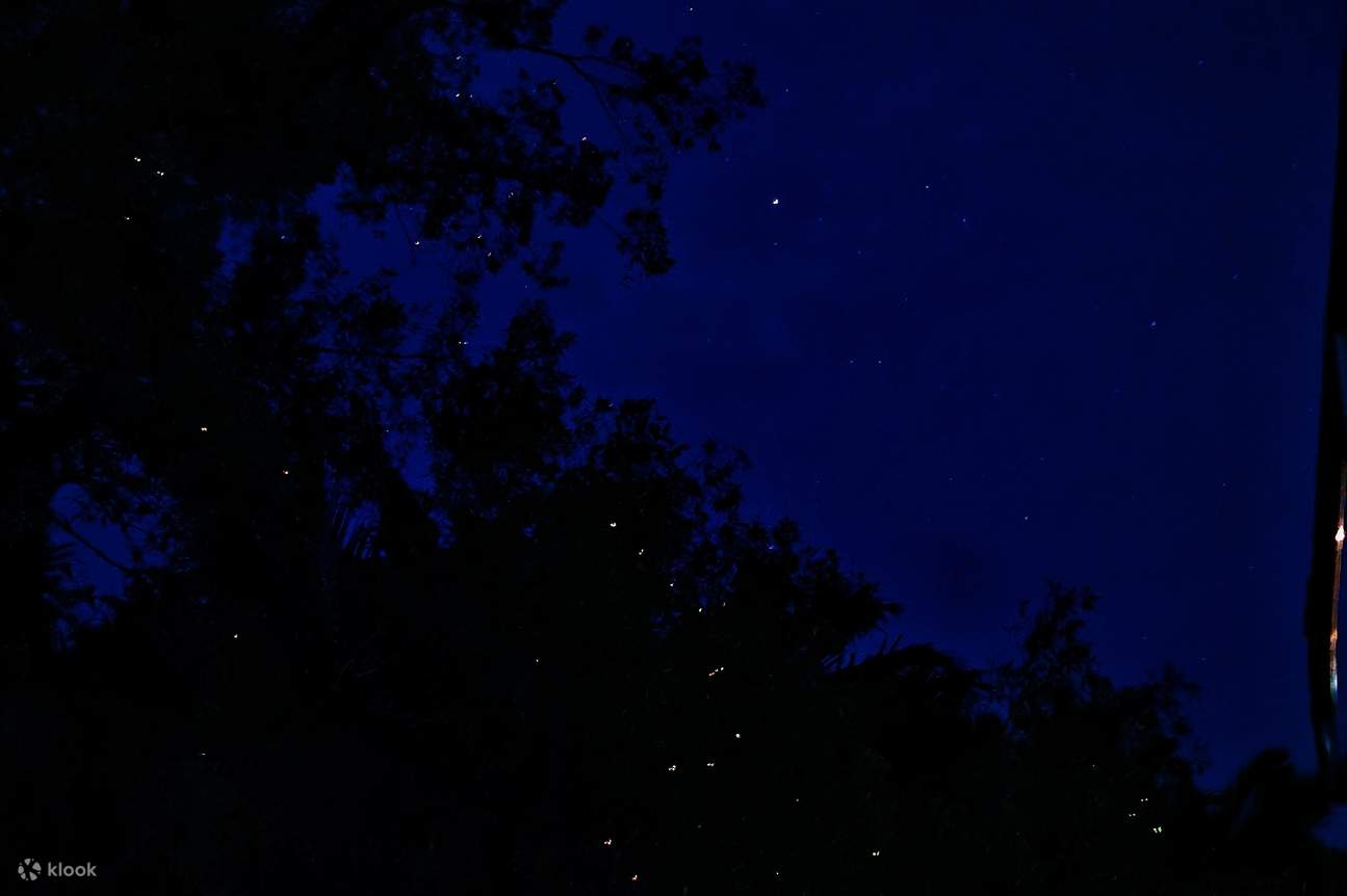 Miglior tour delle lucciole Sabah