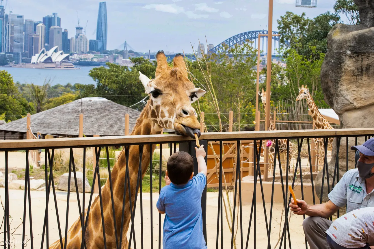 Vé vào vườn thú Taronga Sydney - Klook Việt Nam