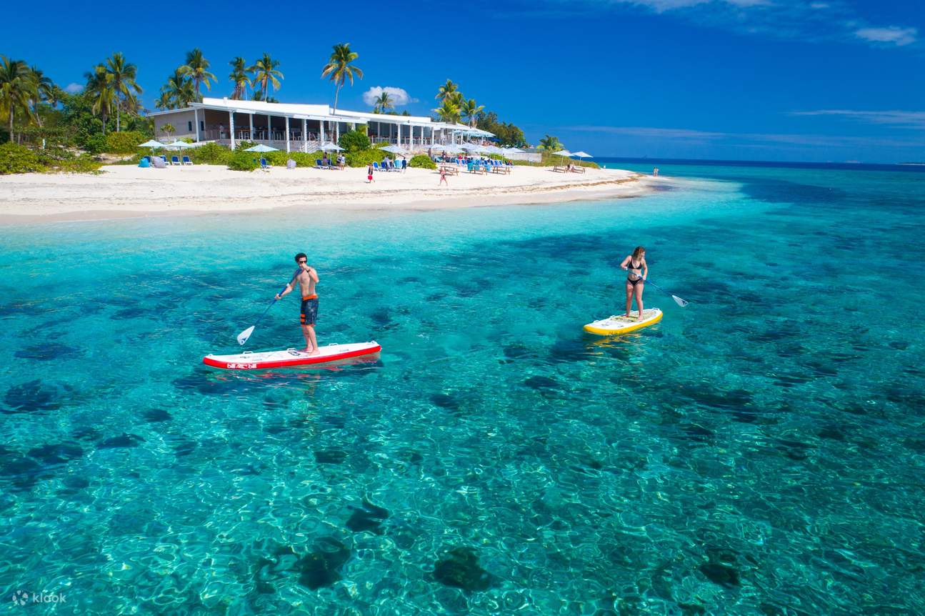 a couple paddleboarding on blue ocean  