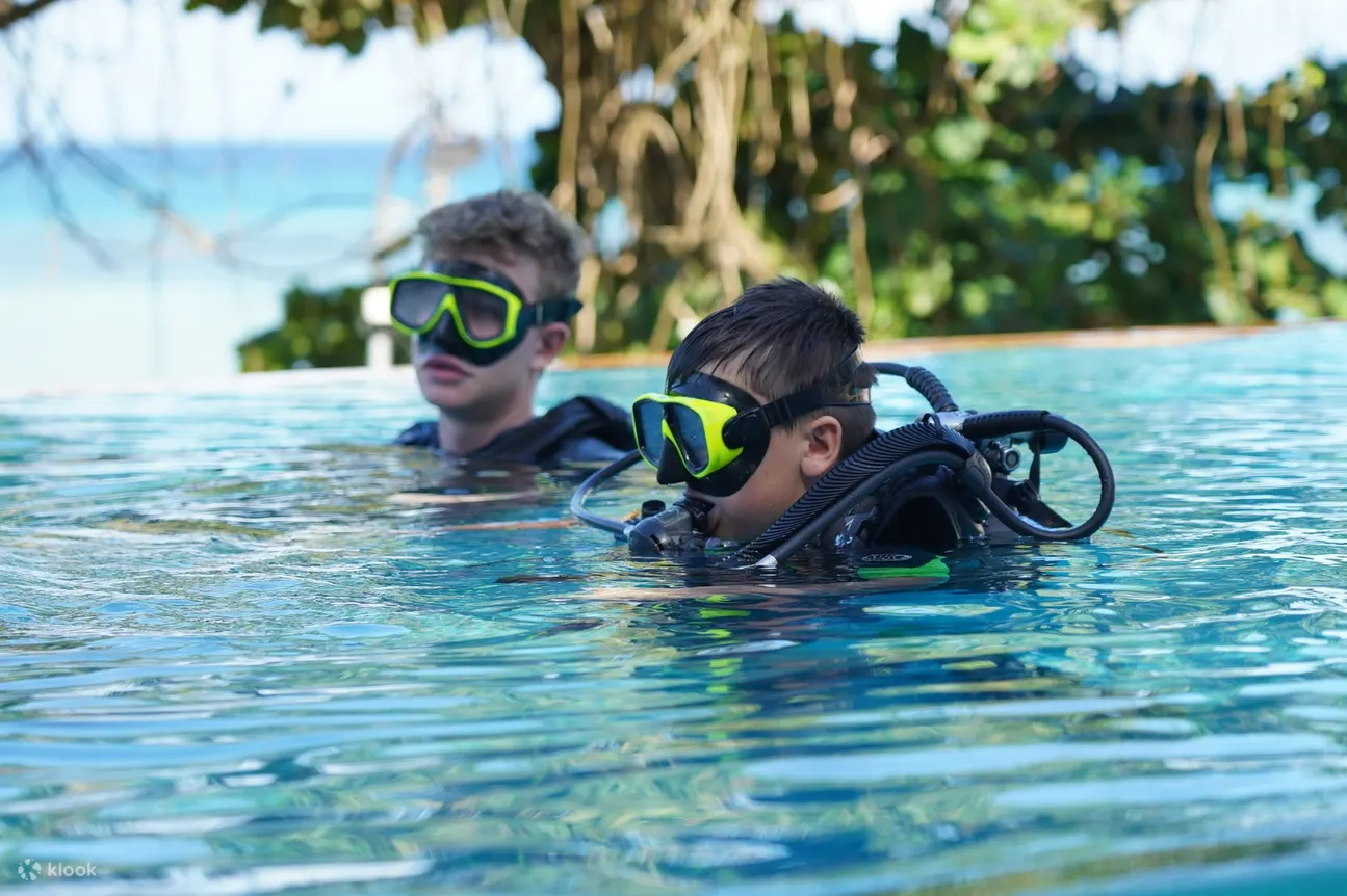 PADI Diving Courses in Koh Phi Phi