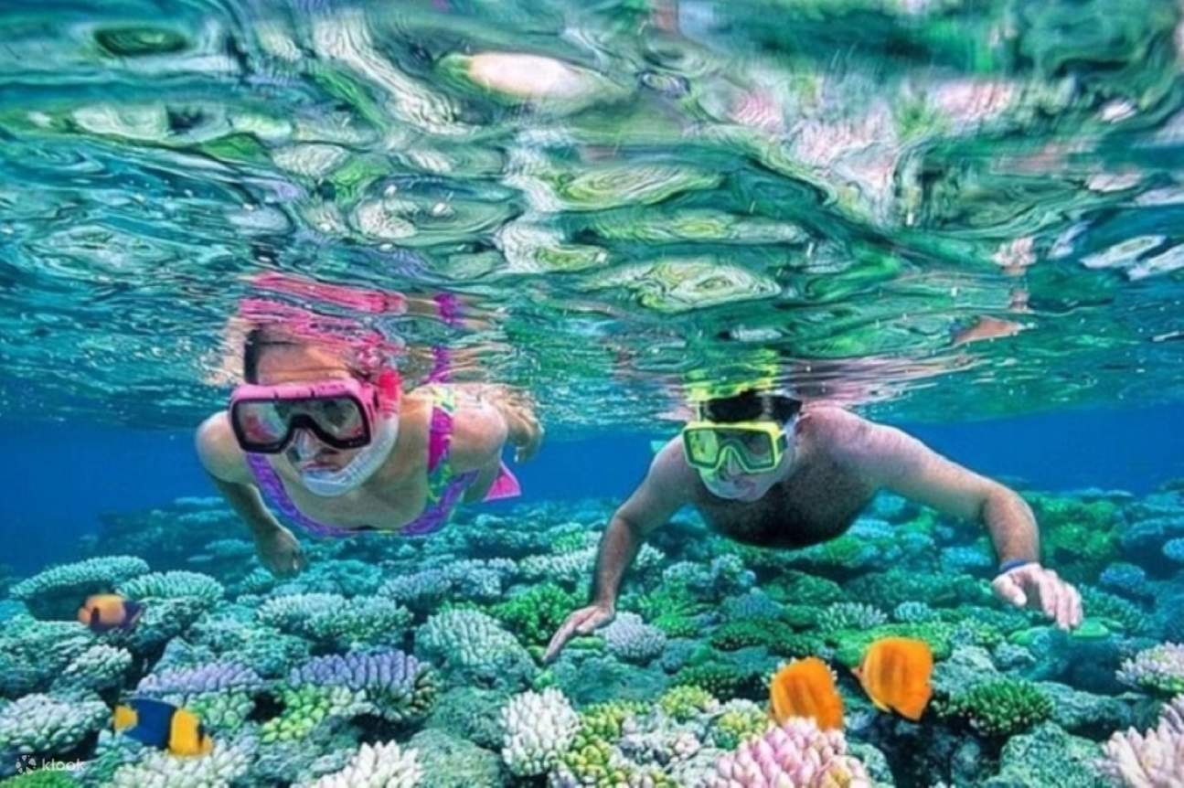 Lặn biển ngắm san hô ở Đảo Tiran, kèm bữa trưa & đưa đón - Sharm El Sheikh