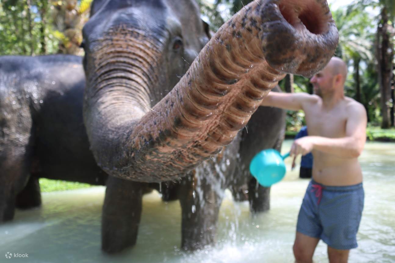 大象保護區甲米體驗