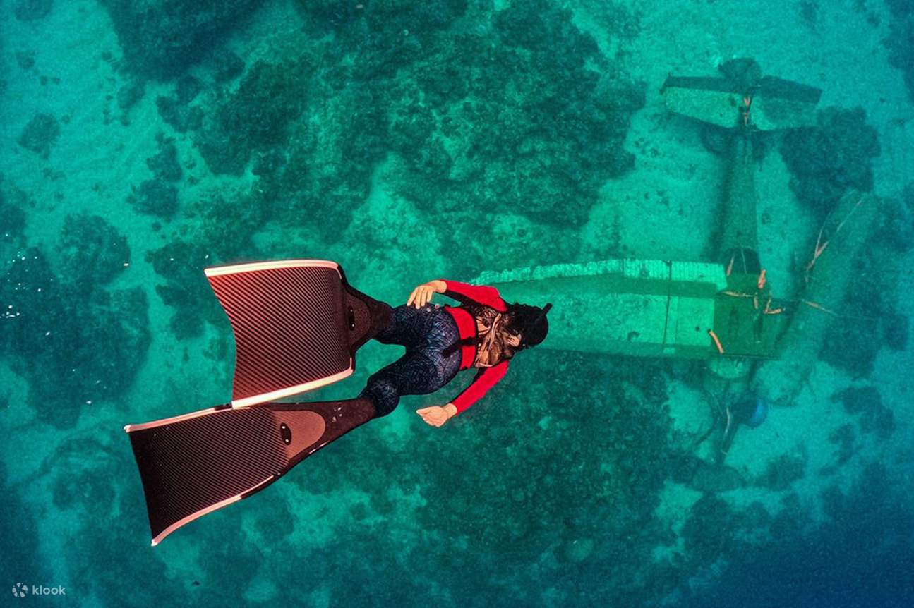 Explore the Thrills of Freediving at the South Palms Plane Wreck Klook