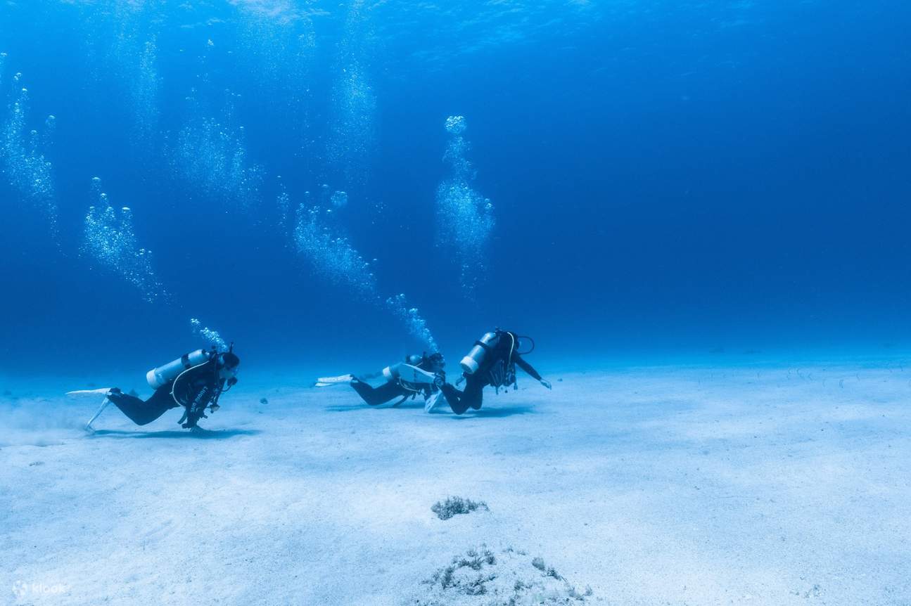 小琉球潜水考照：3天2夜 PADI 开放水域潜水课程
