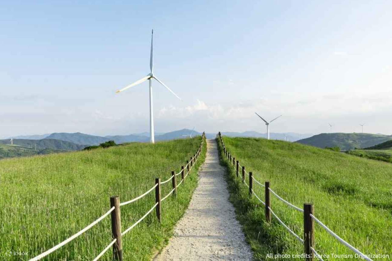 大關嶺Samyan牧場