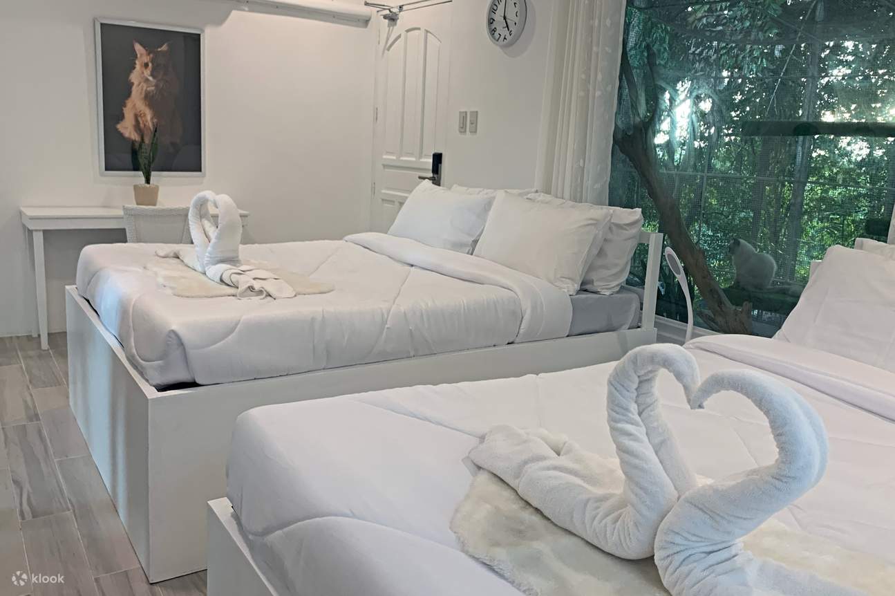 stanza habitat gatti