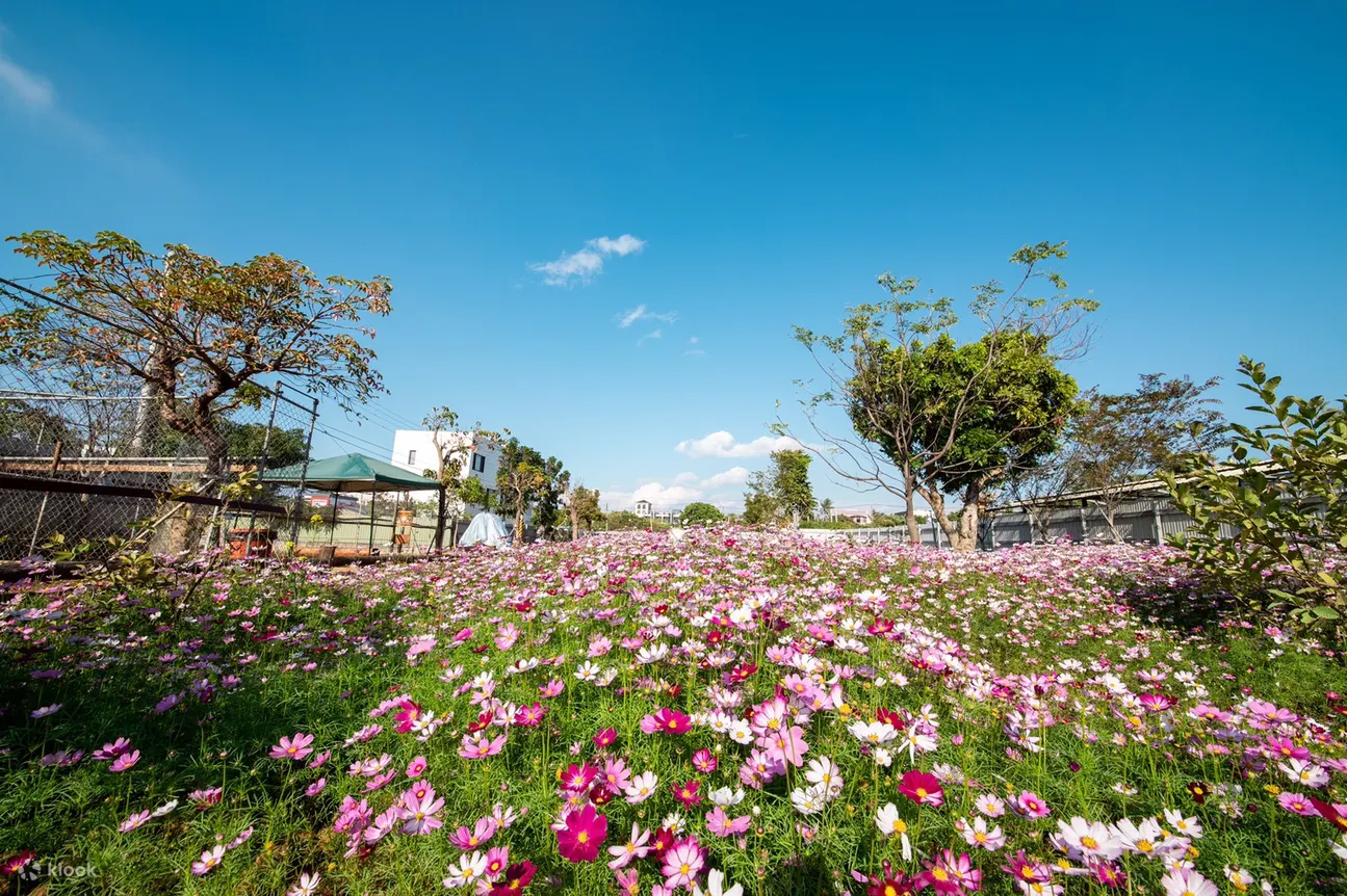鹿粼梅花鹿园区