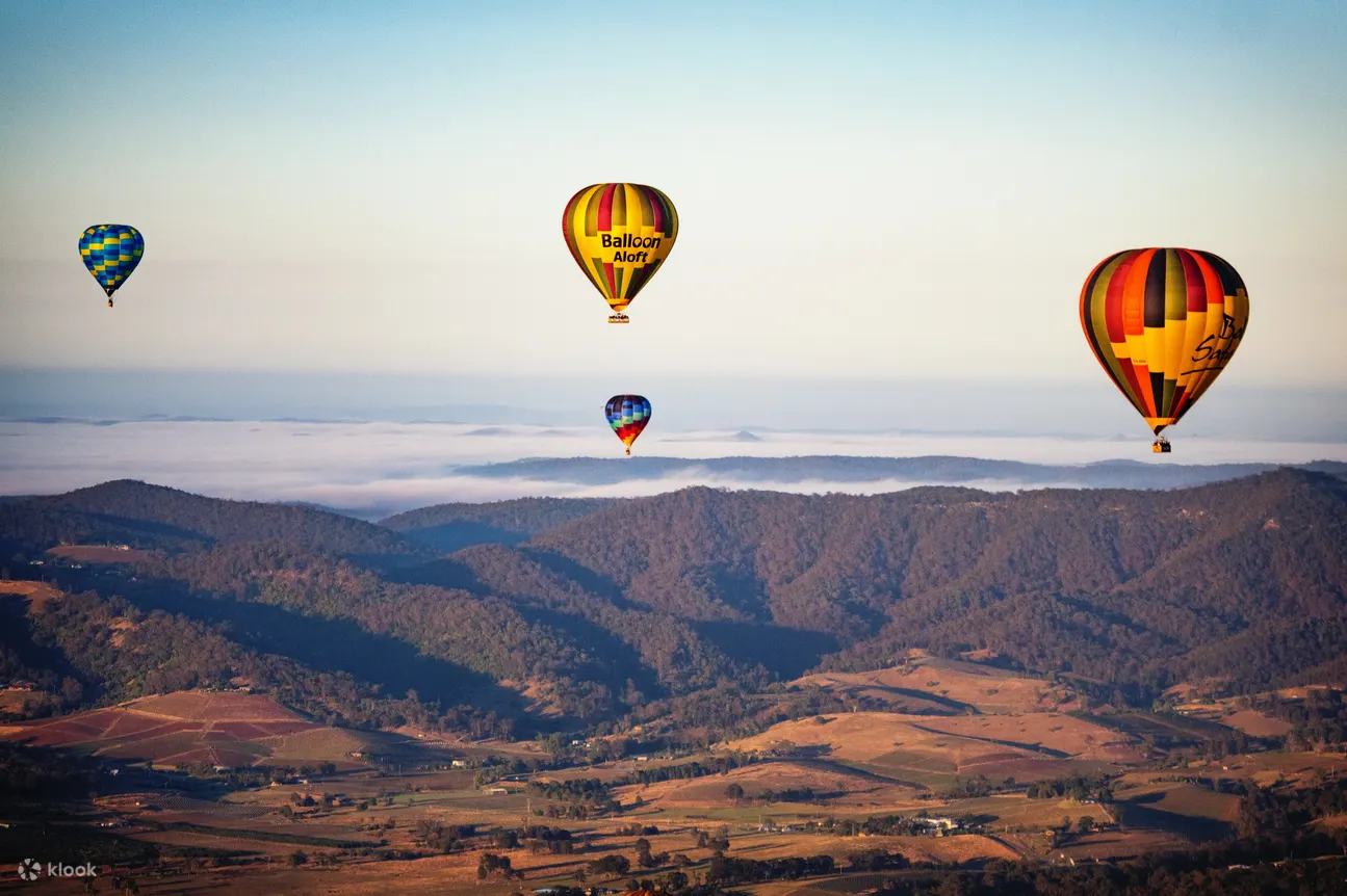 hot air balloon hunter valley