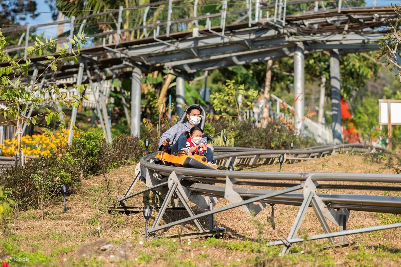 丛林过山车