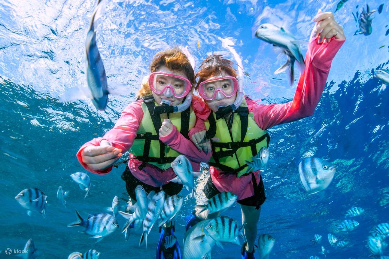 Pengalaman snorkeling di gua biru