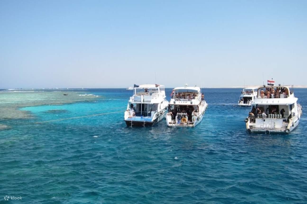 Lặn biển ngắm san hô ở Đảo Tiran, kèm bữa trưa & đưa đón - Sharm El Sheikh