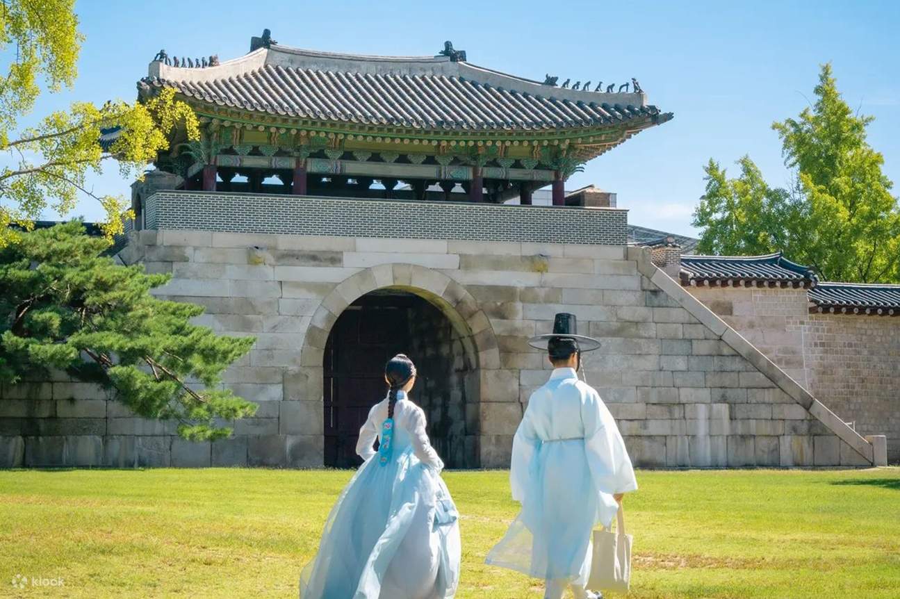 Seoul Car Rental with Driver to Legoland/ Everland/ Alpaca/ Nami Island