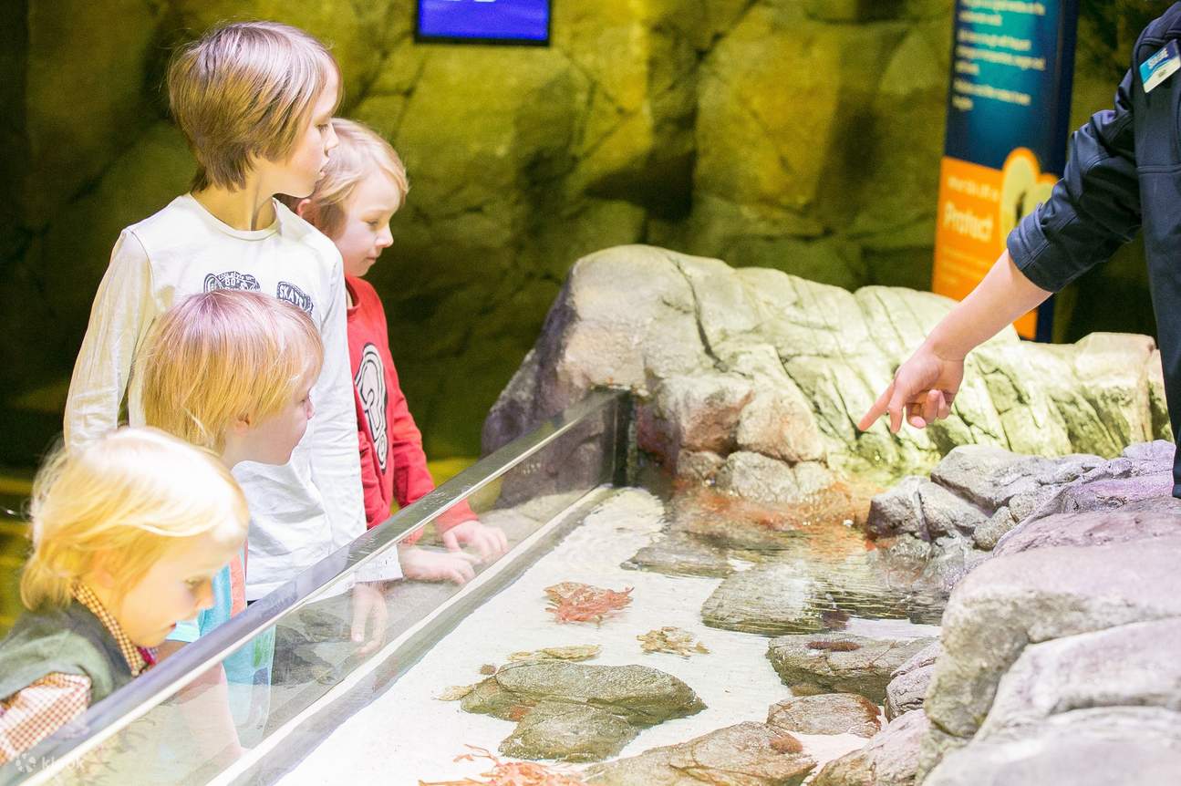 quatre enfants écoutant un guide dans l'aquarium