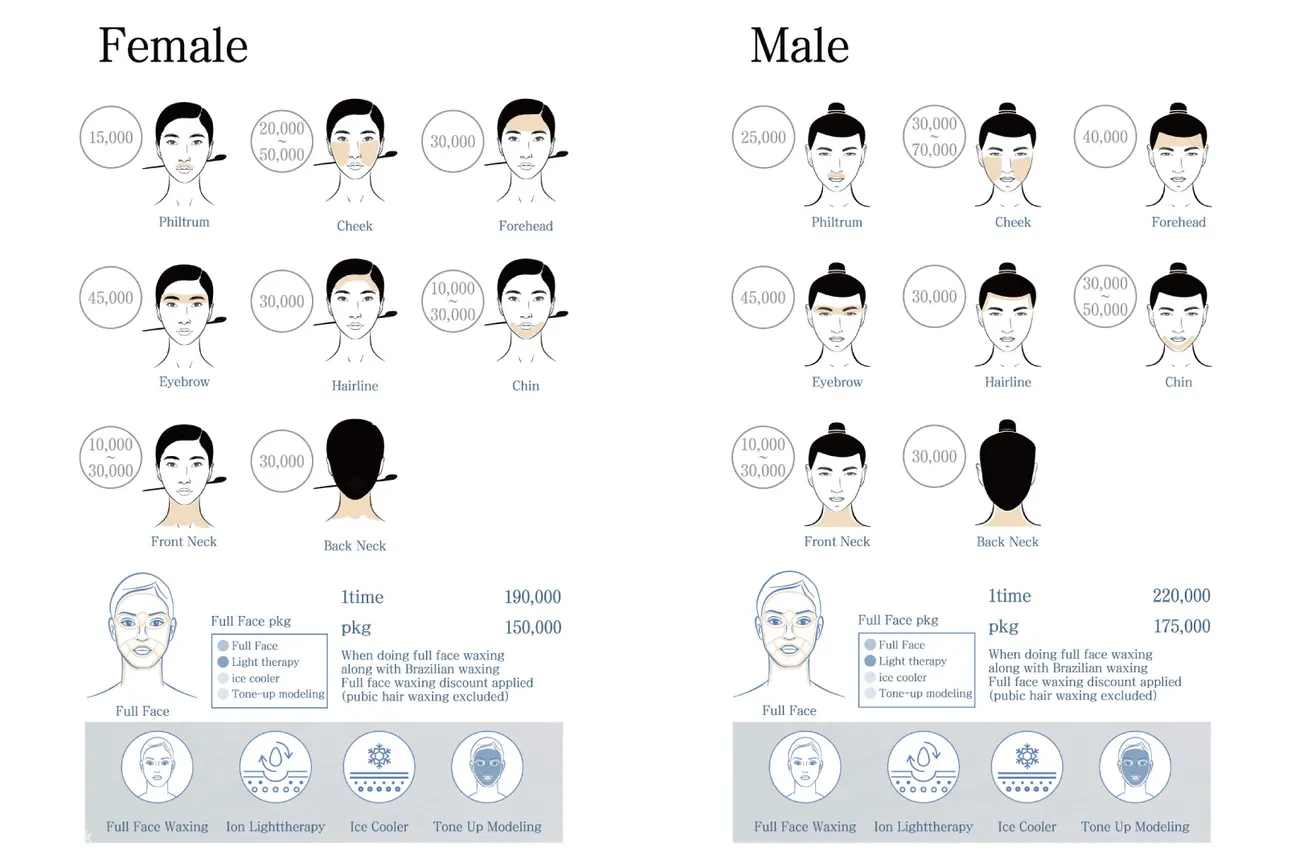 男性、女性面部脱毛价格