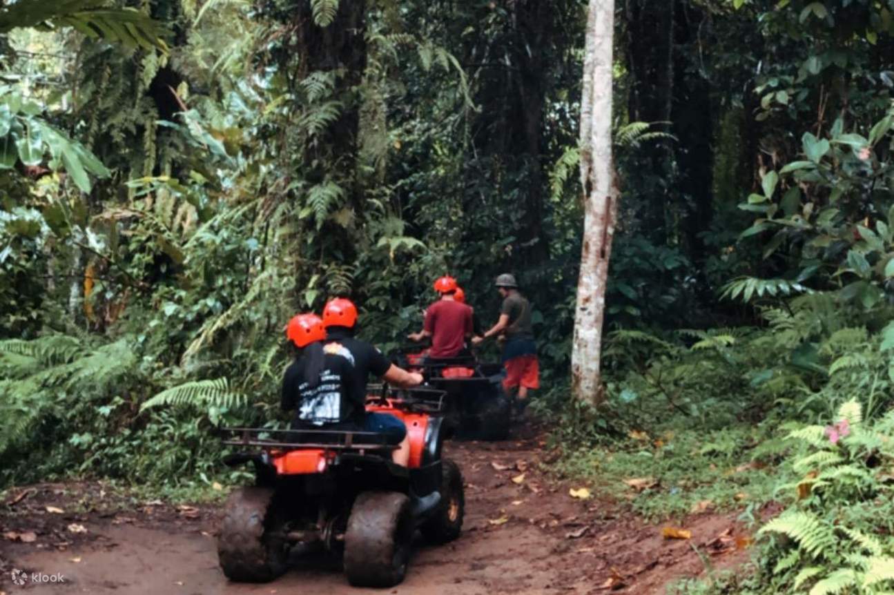 ATV Ride Jungle Jatiluwih Best Package