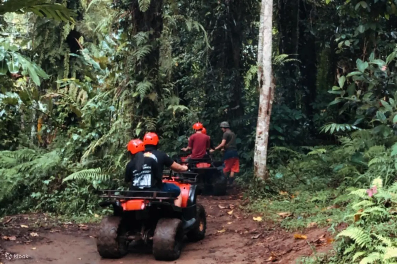 丛林 ATV 骑行 Jatiluwih 最佳套餐