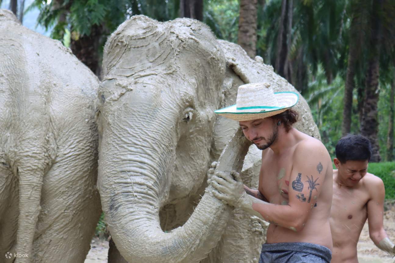 The Elephant Sanctuary Krabi Experience