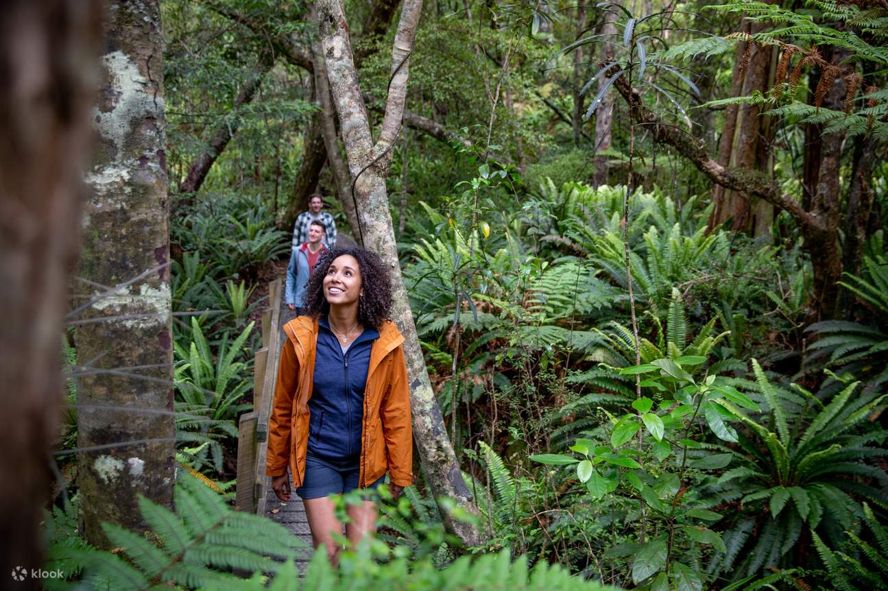 Jalan-jalan di semak belukar hutan asli Stewart Island