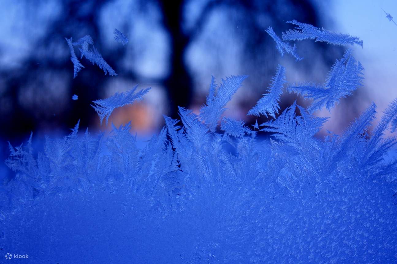Expérience de pêche sur glace avec BBQ