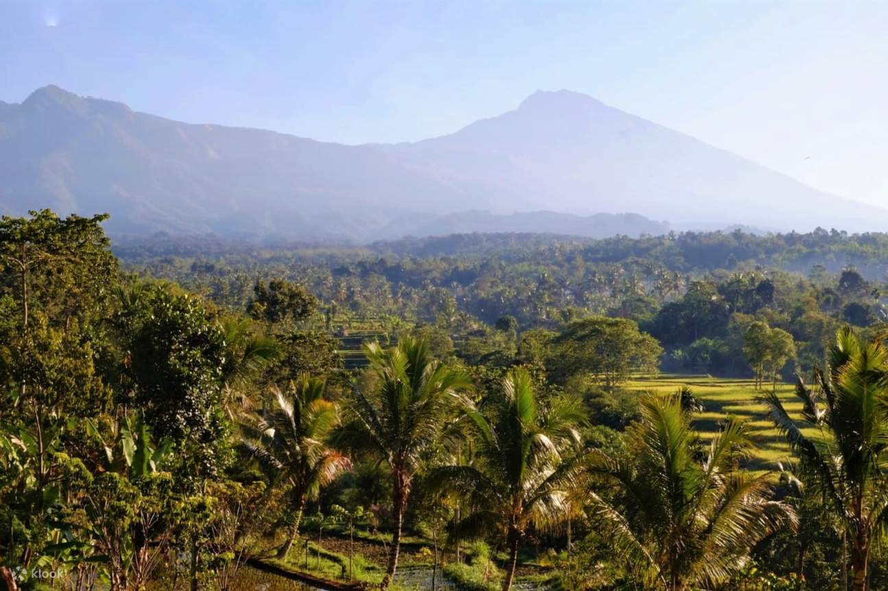 Healing Trip Ke Desa Tetebatu Yang Sejuk Dan Damai