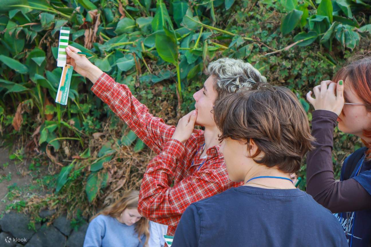 Along the trail, wildflowers, reeds, and stones reveal subtle hues. With a palette in hand, you capture Jeju’s unique tones.