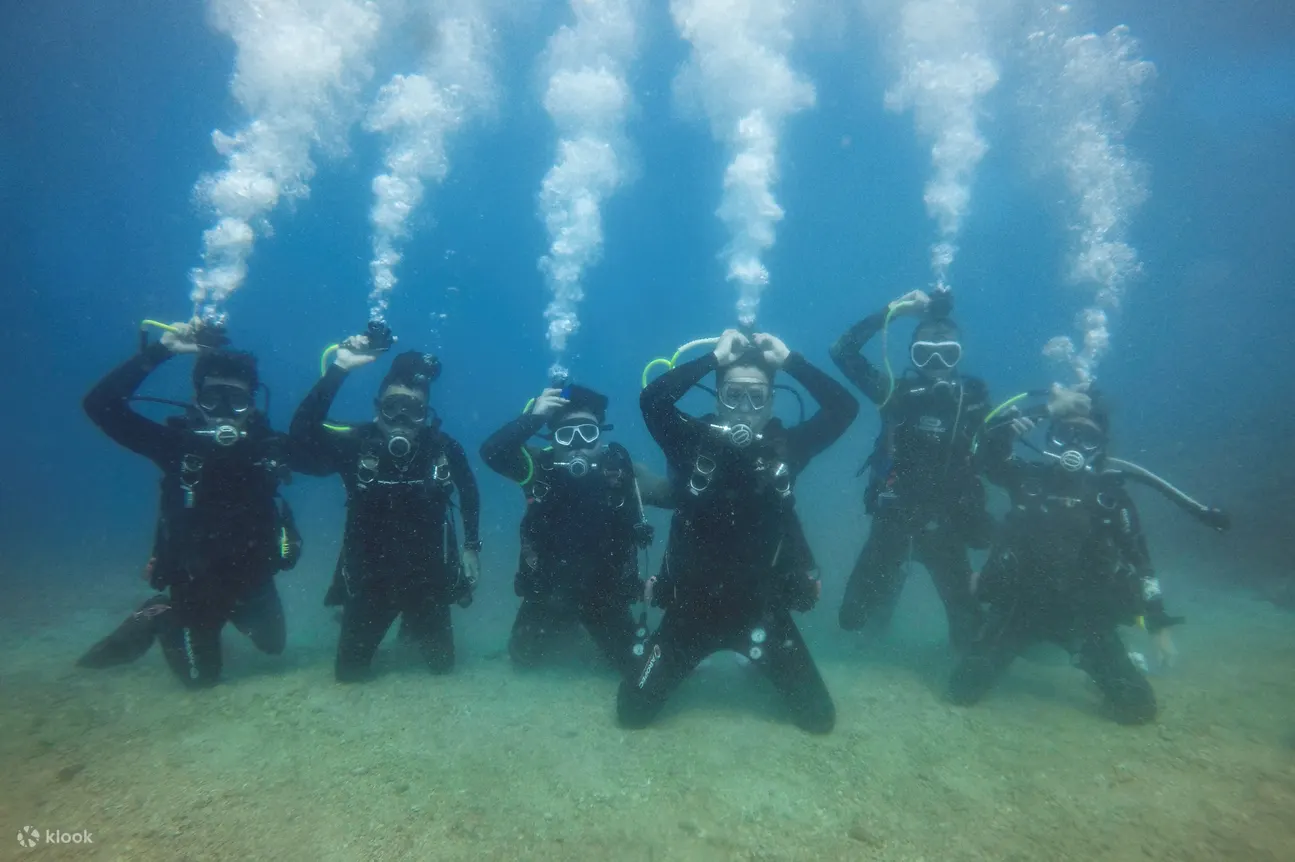 Diving Experience and OW Junior Diver Course in Green Sea Turtle Dive Shop Pingtung Xiaoliuqiu