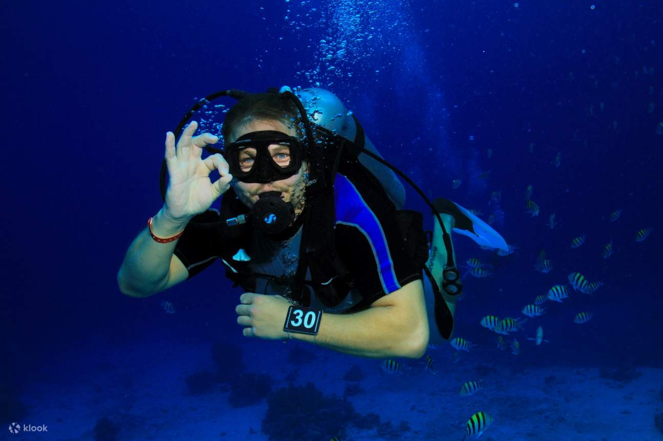  transfer를 포함한 전문 스쿠버 다이빙 풀 데이 트립 – 후르가다