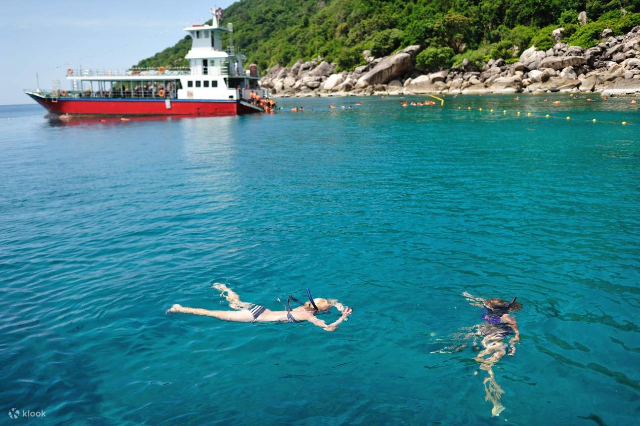 woman swimming in koh tao