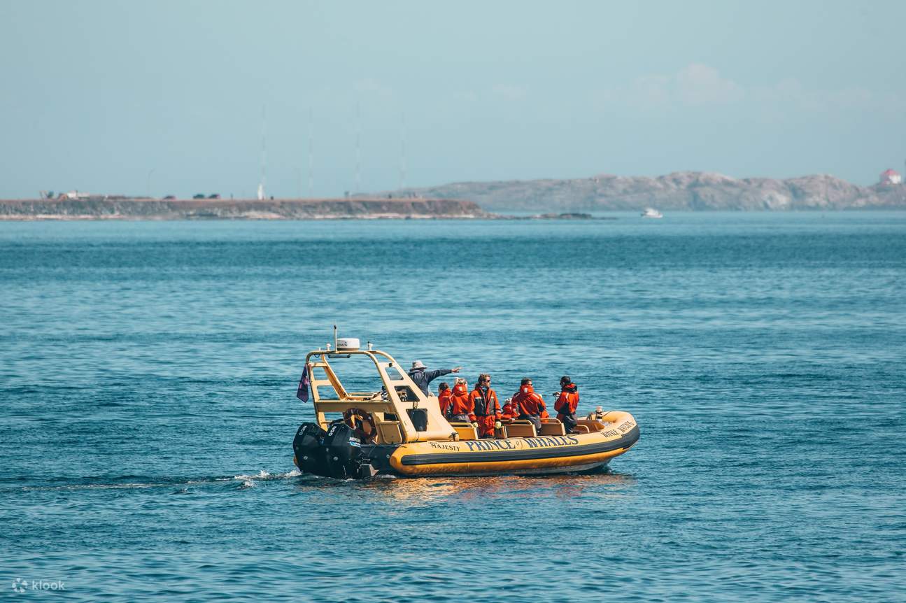乘坐生肖船从维多利亚出发