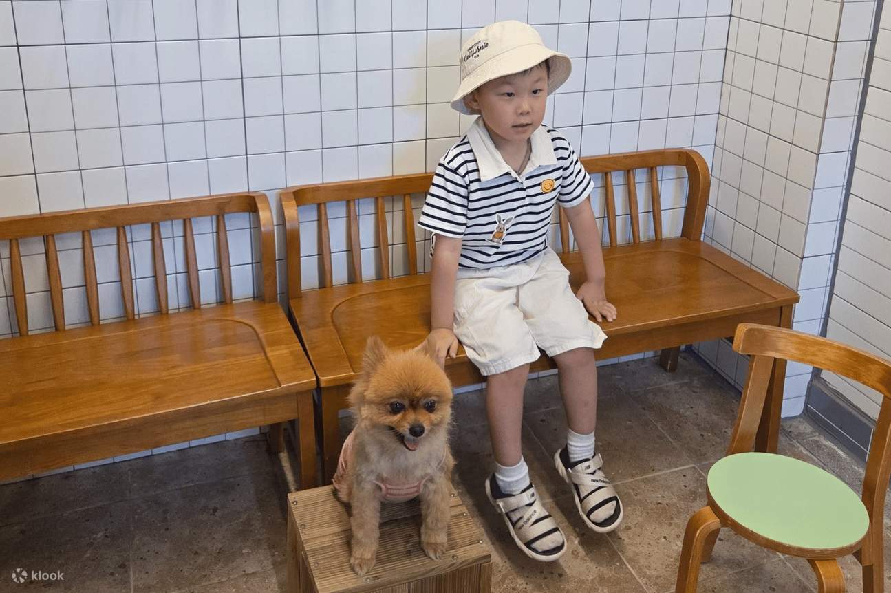 驪州ペットファーム体験 - 犬や猫に餌をあげて遊んで絆を深めよう