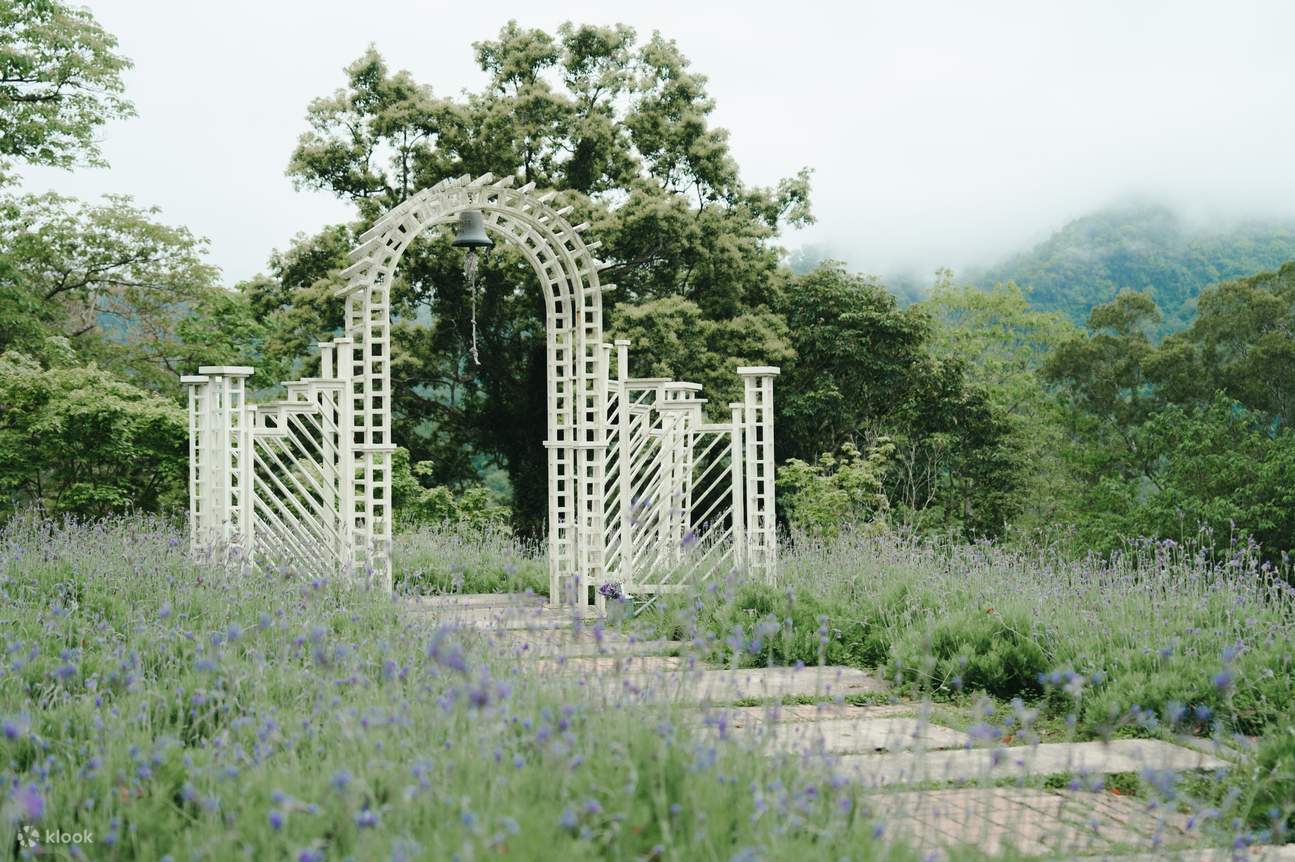 Billets pour la Forêt de Lavande à Hsinchu et Taichung