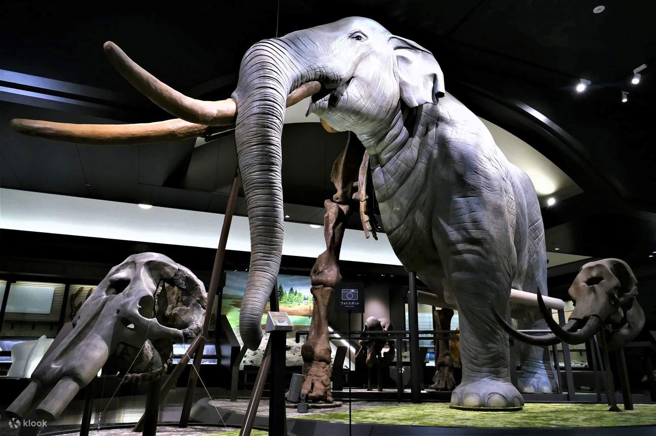 Half-Body, Half-Bone Tsudansky Elephant