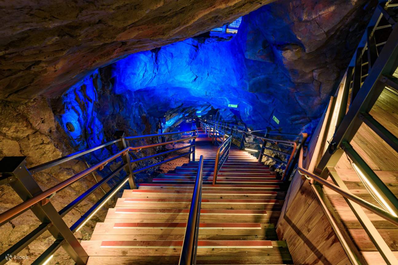 Hwadam Forest & Ludencia & Outlet & Gwangmyeong Cave & Dumulmeori - Klook