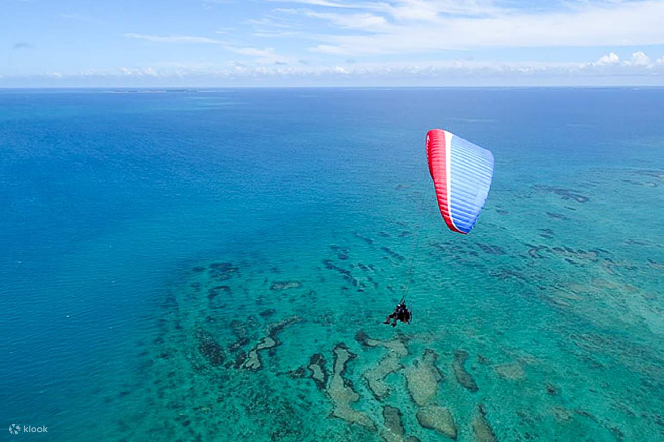 ประสบการณ์พาราไกลดิ้งแบบมีเครื่องยนต์ที่โอกินาวา (บินคู่ได้ทั้งครอบครัว)