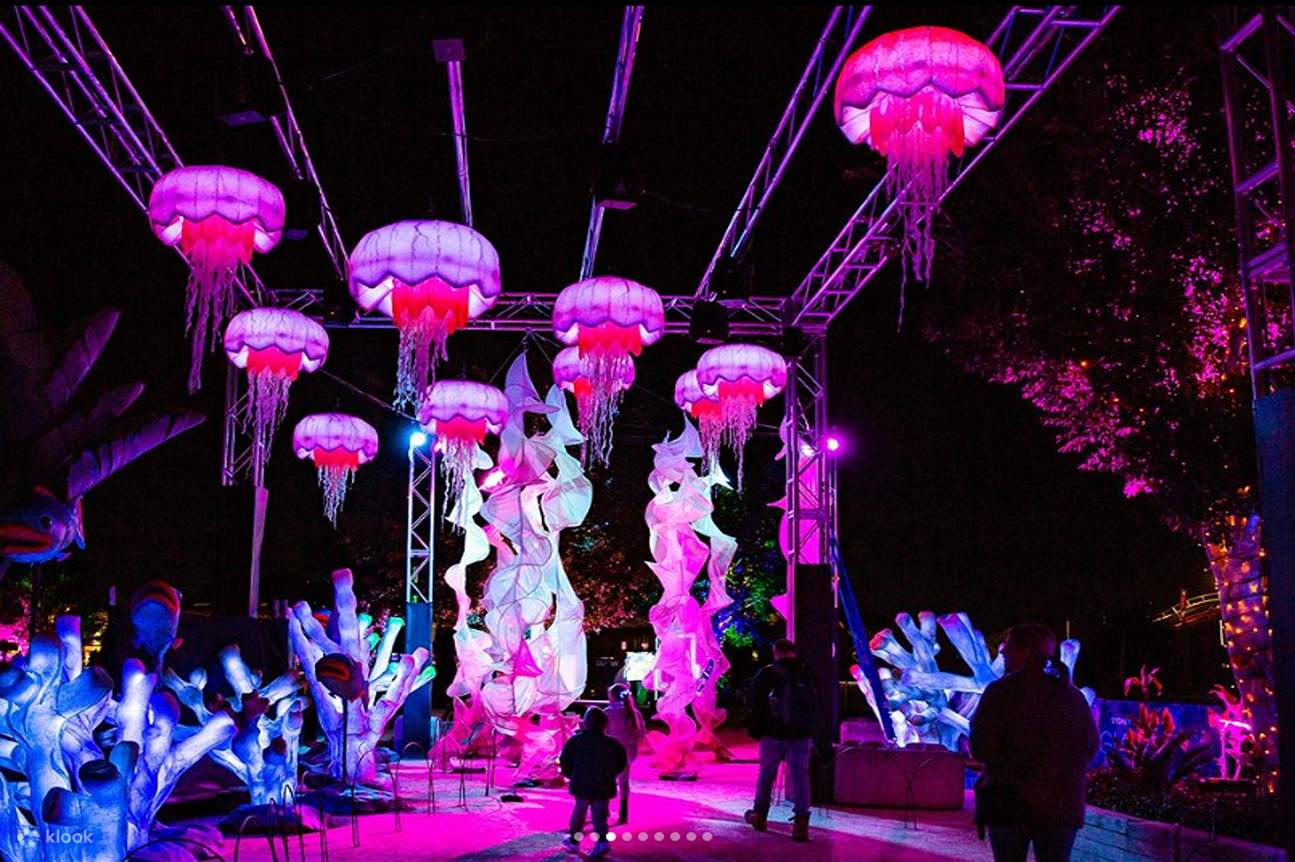 GLOW at Sydney Zoo Admission Klook United States