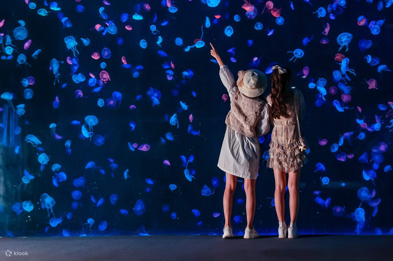 Chimelong Ocean Kingdom Zhuhai