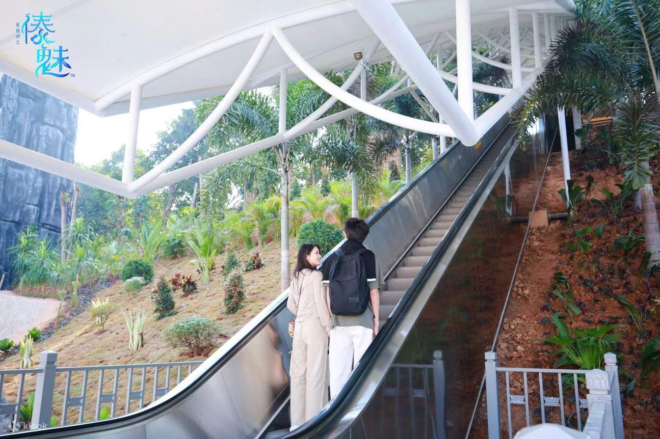 Scenic area escalator