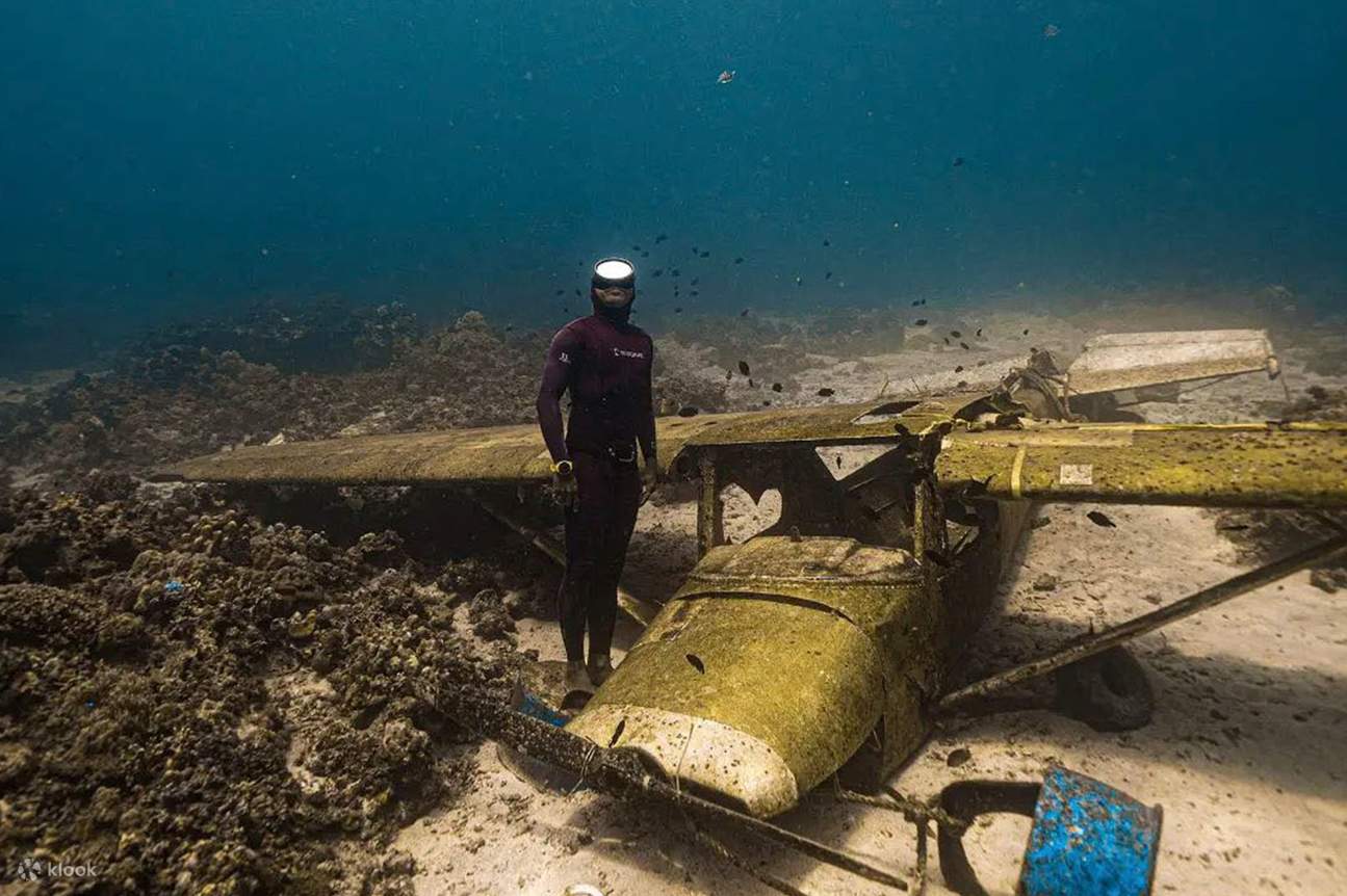 Explore the Thrills of Freediving at the South Palms Plane Wreck
