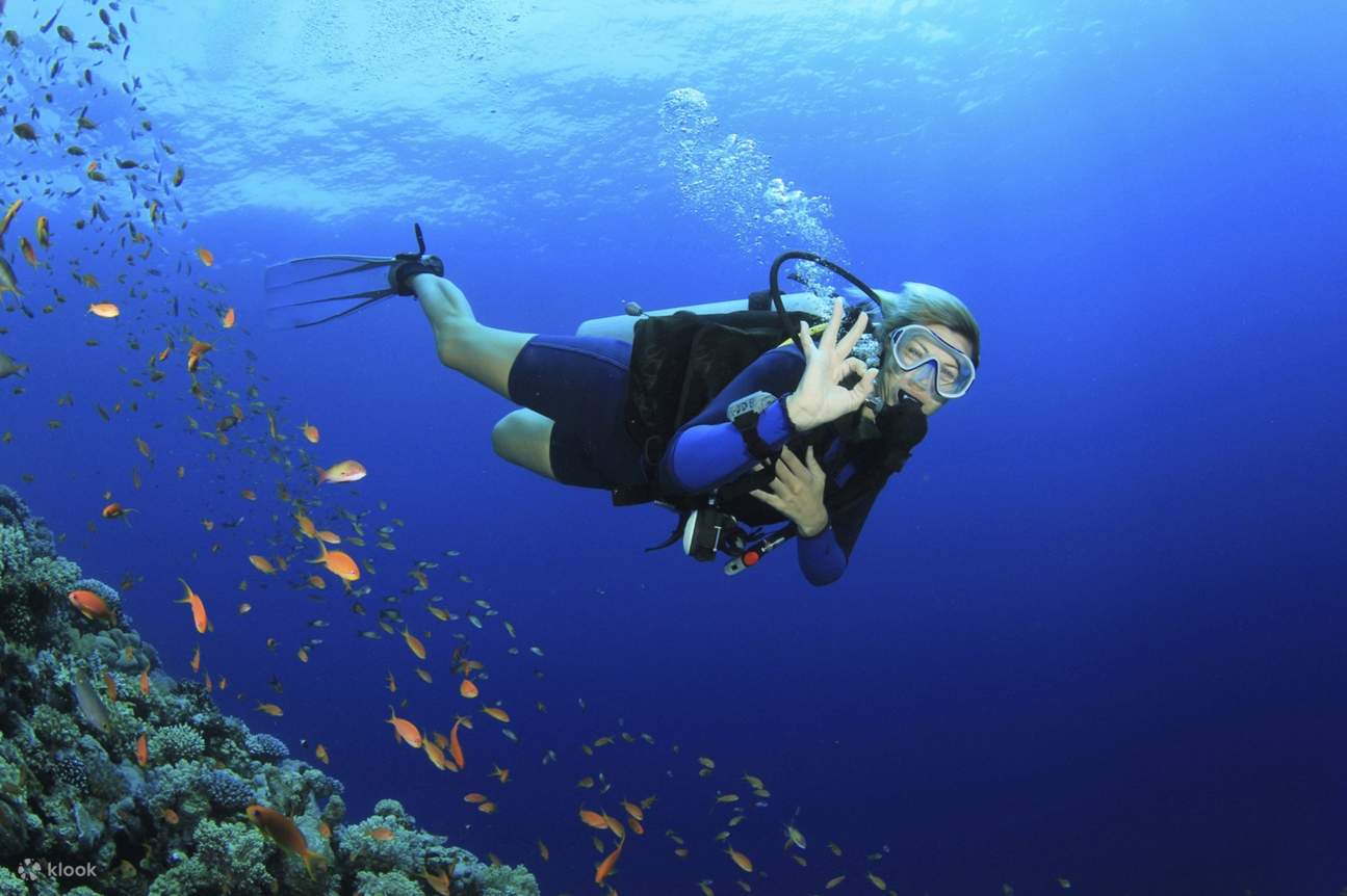 Excursión de día completo en barco para buceo para principiantes con almuerzo - Hurghada